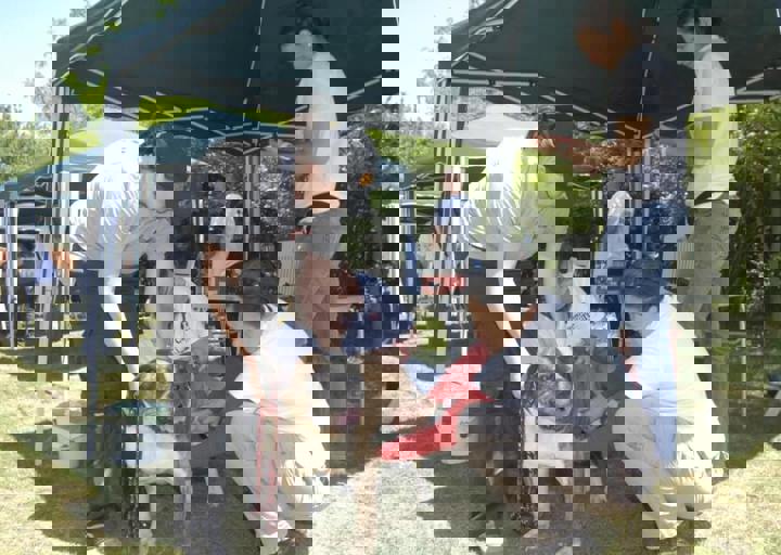 _BZS2422.JPG