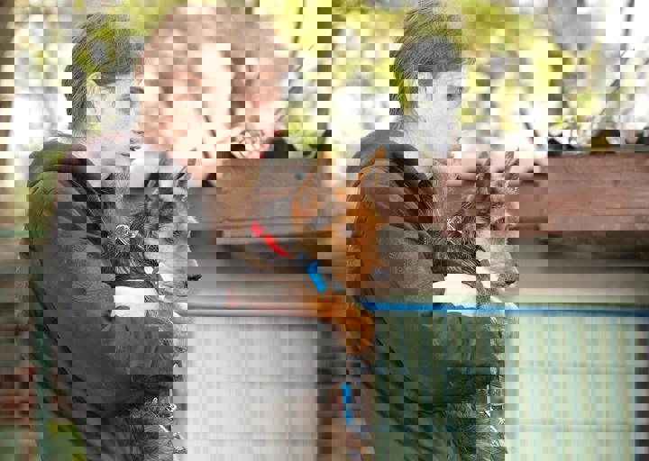 16_05150049.jpg
