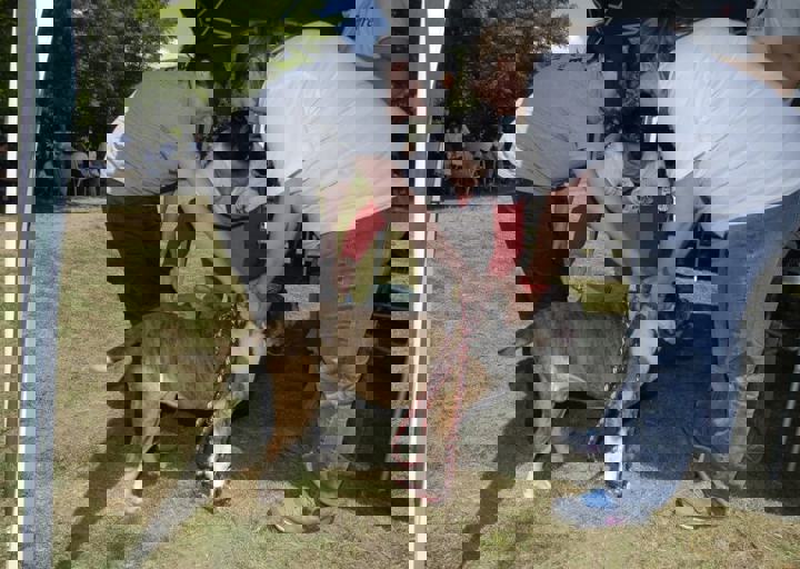 _BZS2424.JPG