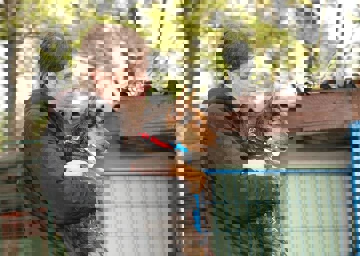 16_05150050.jpg