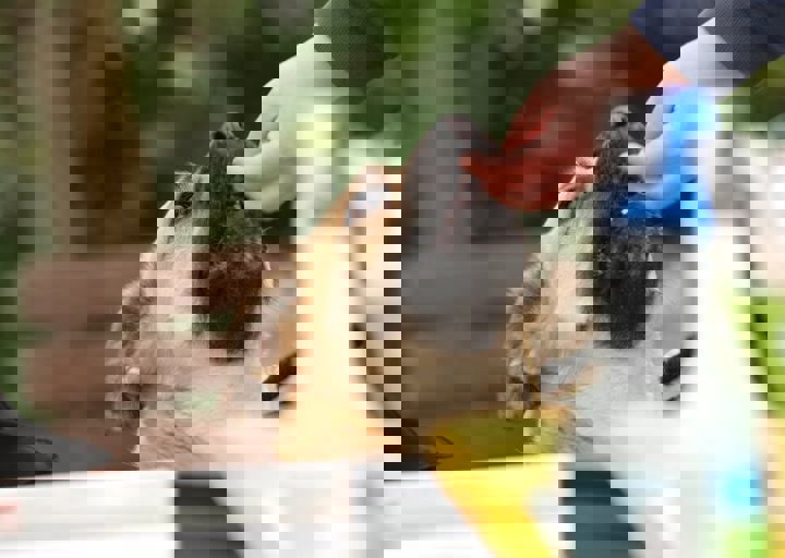 16_05150052.jpg