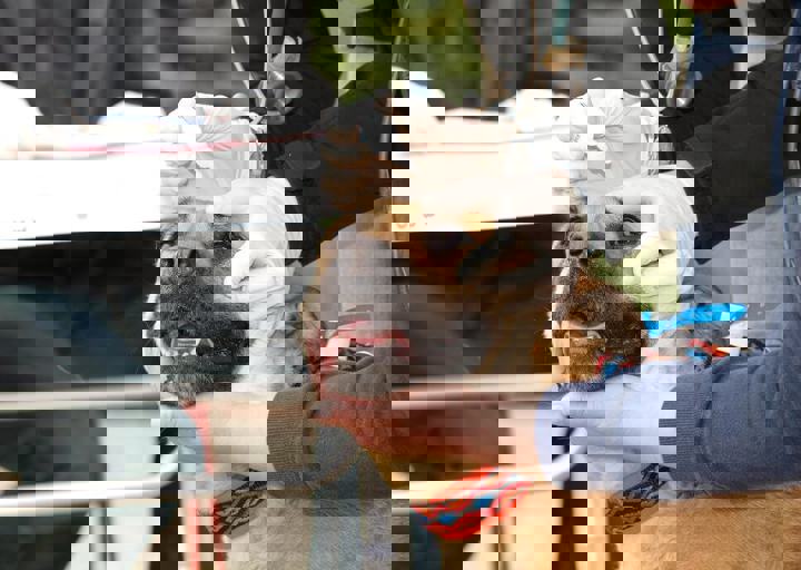 16_05150054.jpg