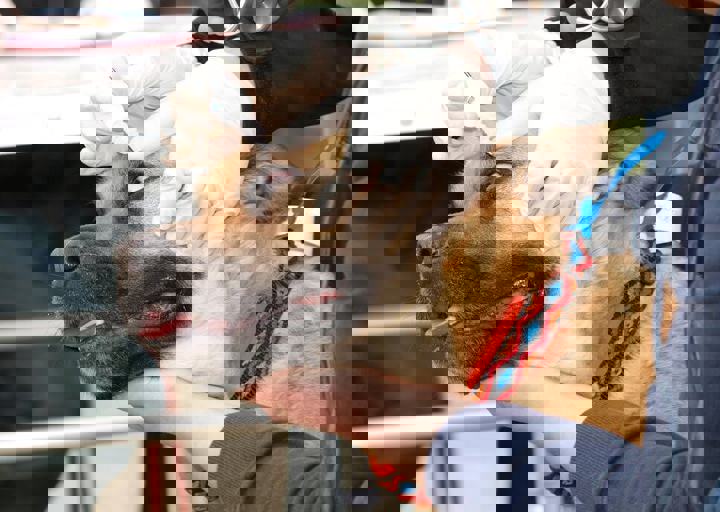 16_05150056.jpg