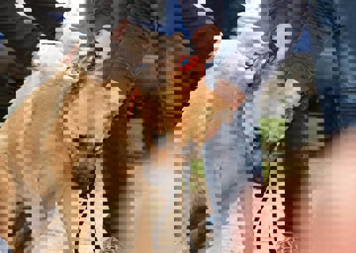 16_05150059.jpg