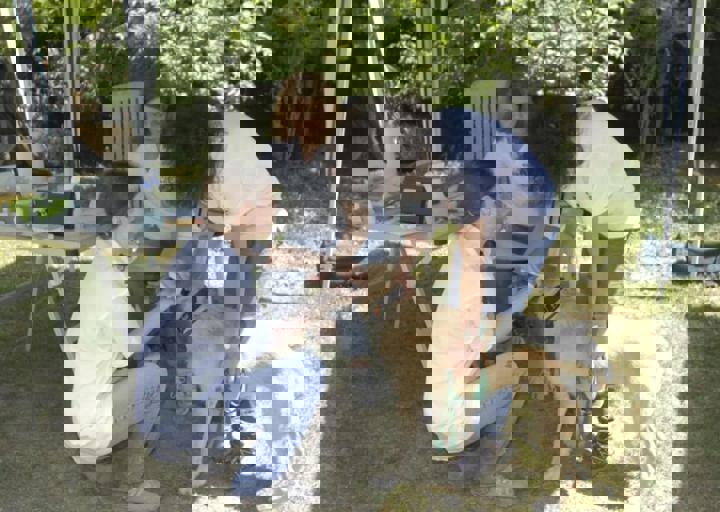 _BZS2441.JPG