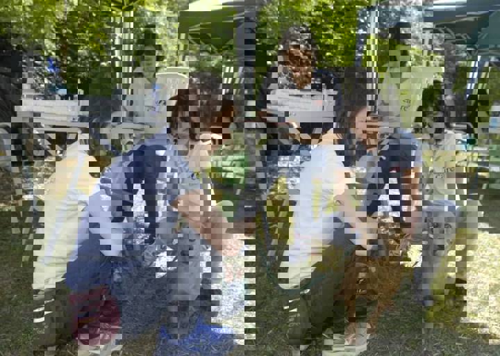 _BZS2447.JPG