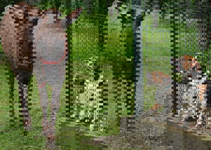 16_05150070.jpg