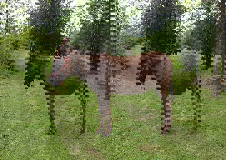 16_05150071.jpg