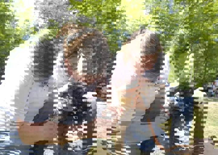 _BZS2450.JPG