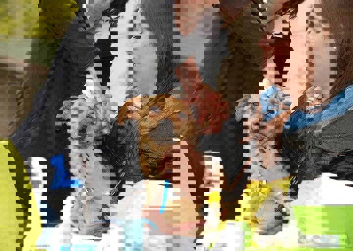 16_05150076.jpg