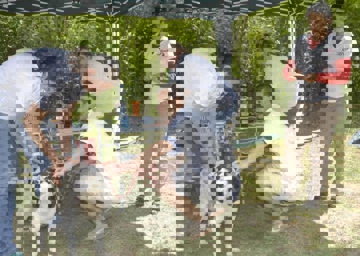 _BZS2456.JPG