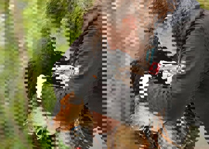 16_05150087.jpg