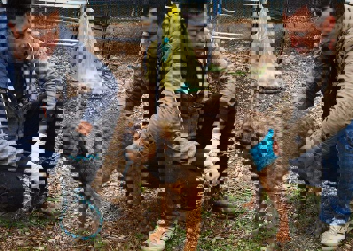 16_05150088.jpg