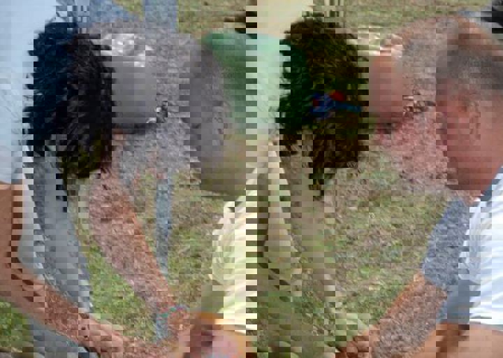 _BZS2465.JPG