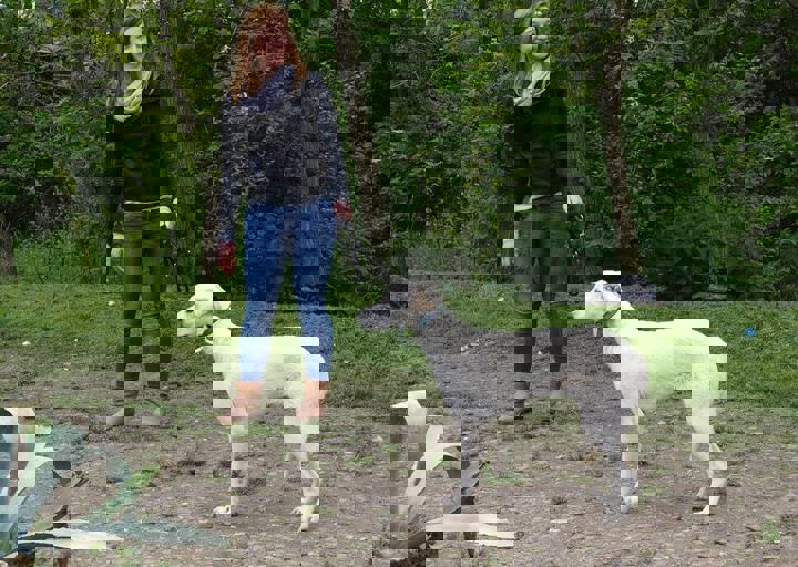 16_05150090.jpg