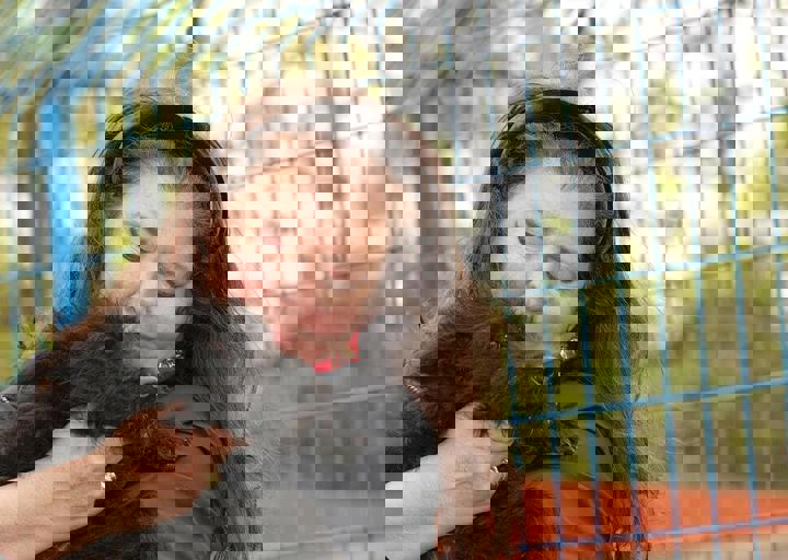 16_05150095.jpg