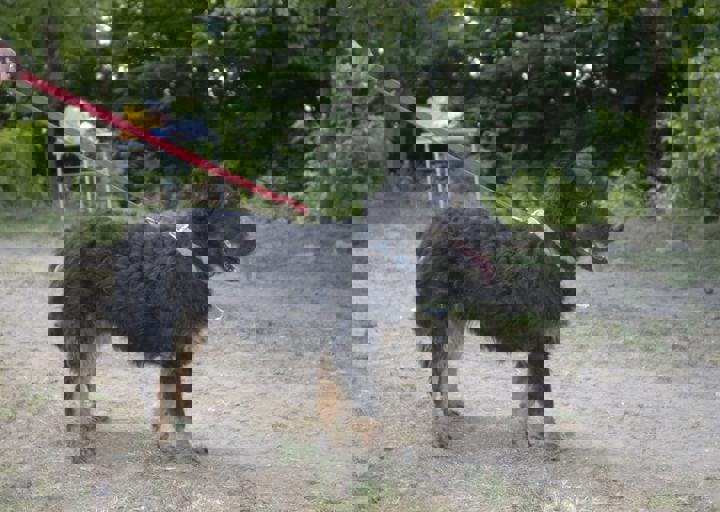 _BZS2476.JPG