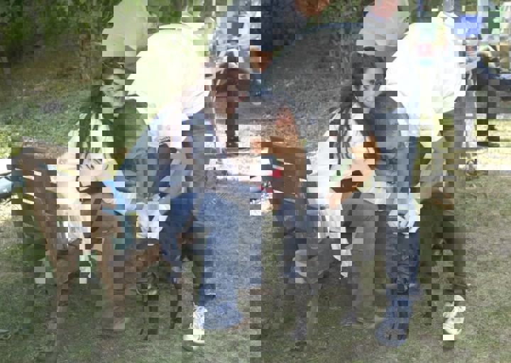 _BZS2480.JPG