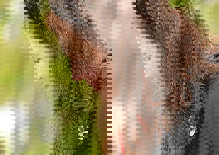 16_05150104.jpg
