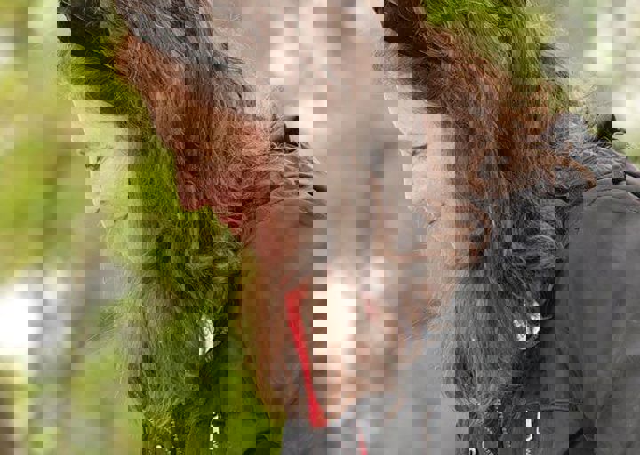 16_05150105.jpg