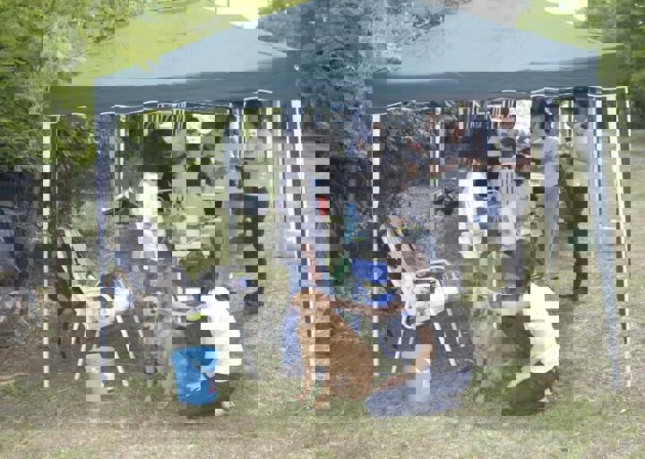 _BZS2492.JPG
