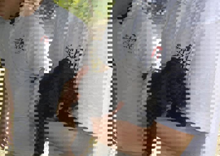 _BZS2507.JPG