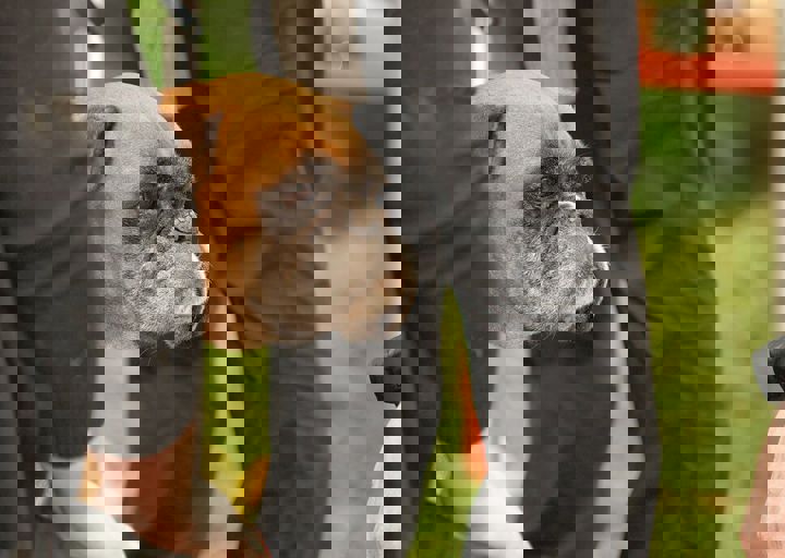 16_05150123.jpg