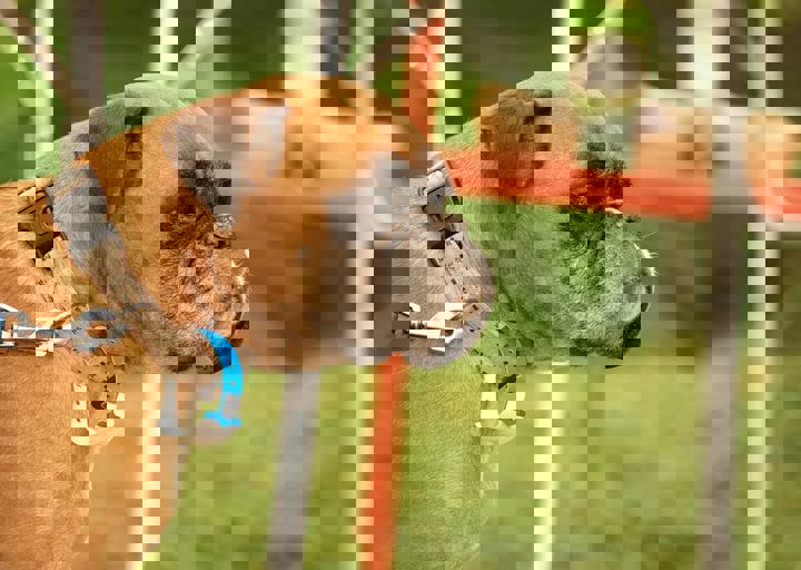 16_05150124.jpg