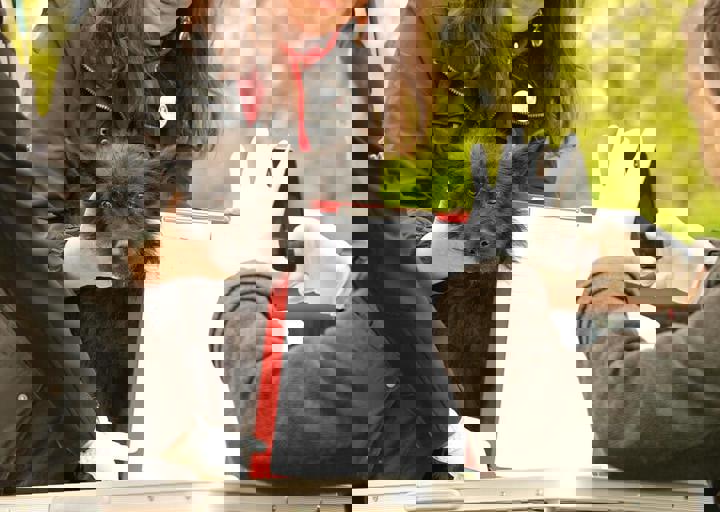 16_05150127.jpg