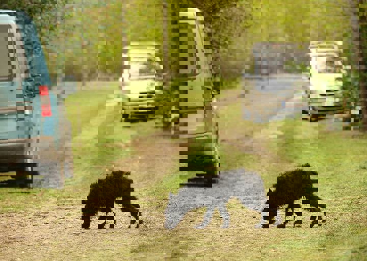 16_05150130.jpg