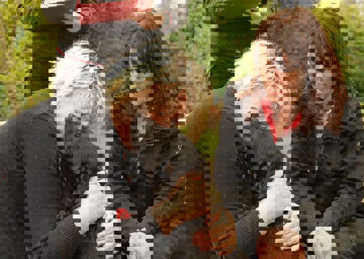 16_05150135.jpg