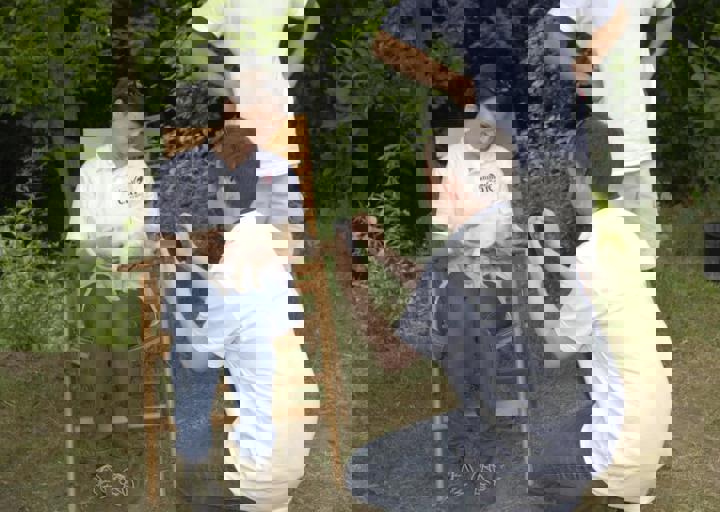 _BZS2521.JPG