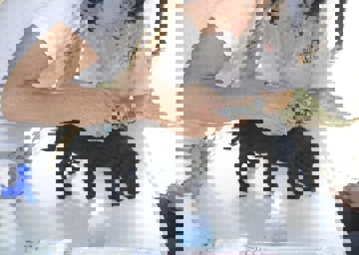 _BZS2523.JPG