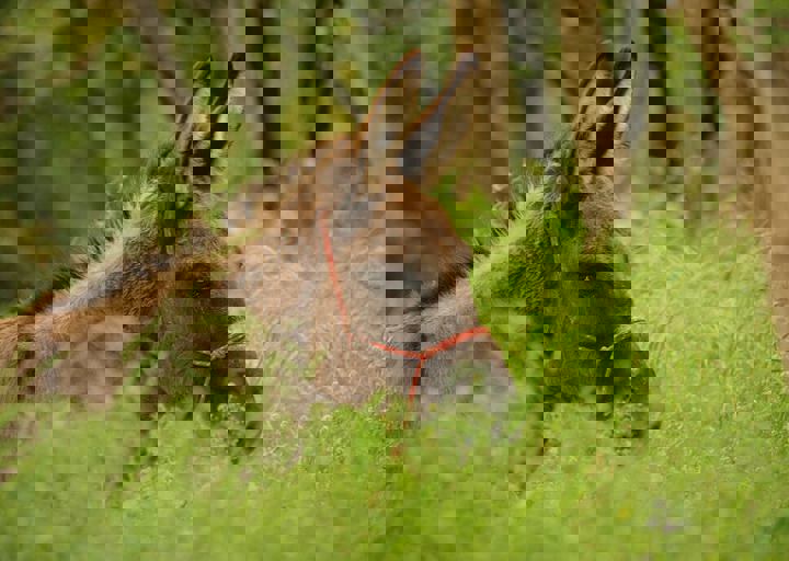 16_05150141.jpg
