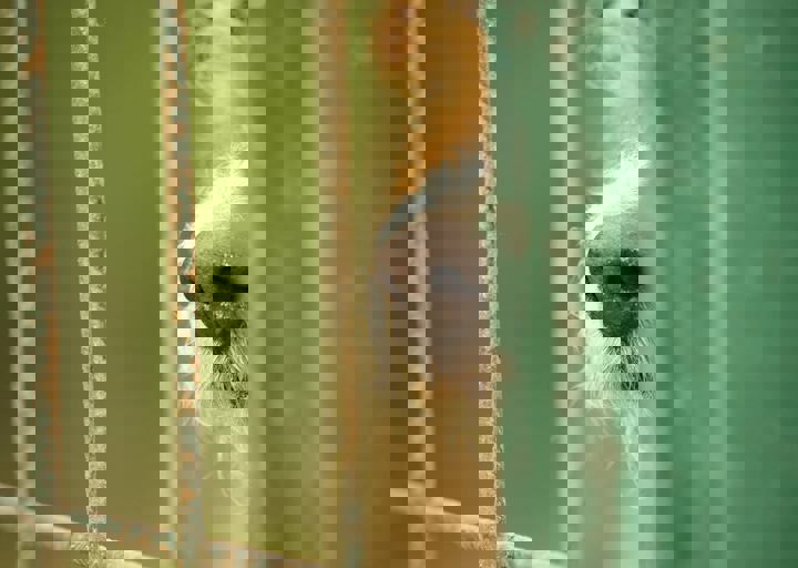 16_05150142.jpg