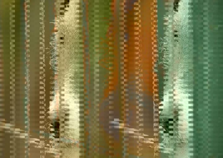 16_05150143.jpg