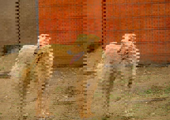 16_05150144.jpg