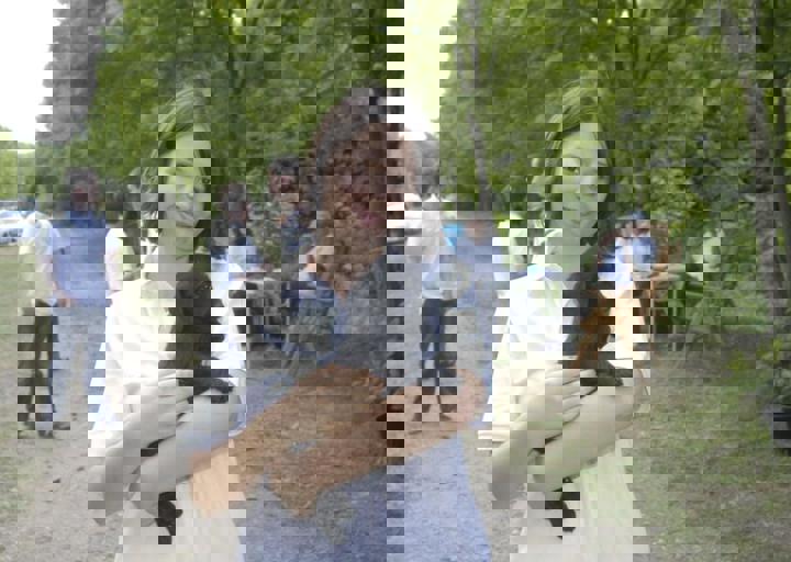 _BZS2526.JPG