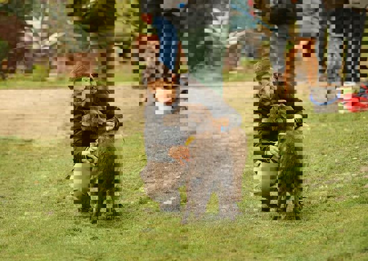 16_05150145.jpg