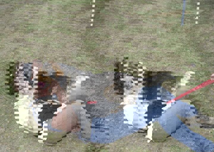 _BZS2527.JPG