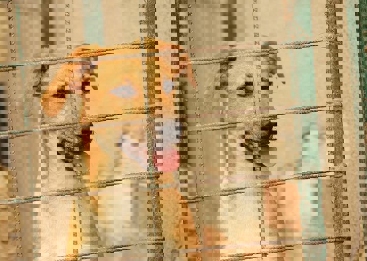 16_05150151.jpg