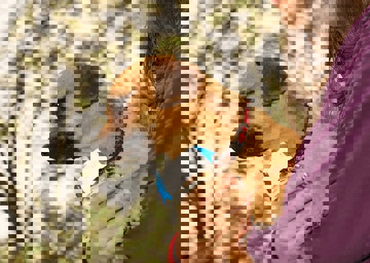 16_05150157.jpg