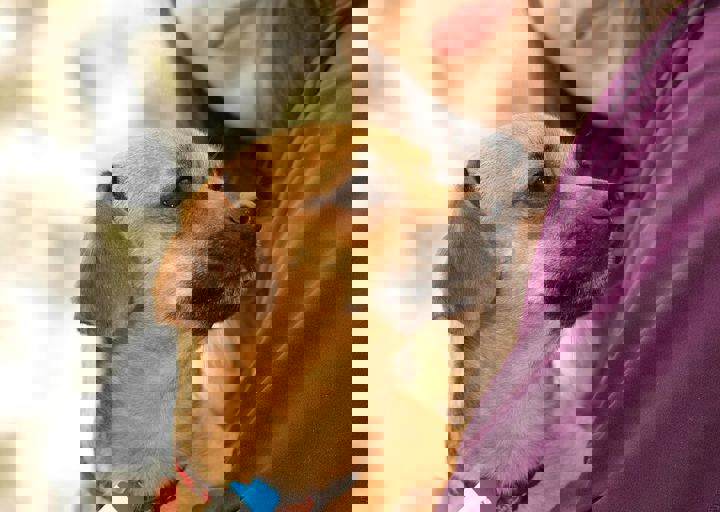 16_05150158.jpg