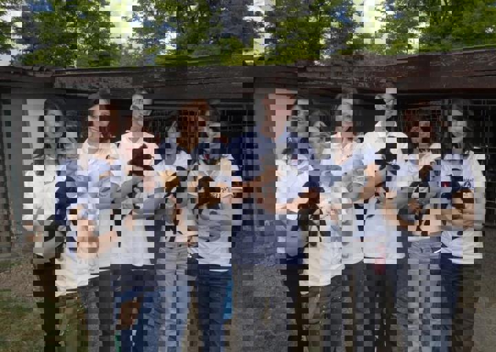 _BZS2540.JPG