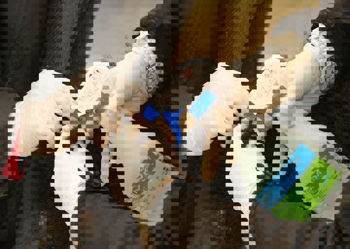 16_05150160.jpg