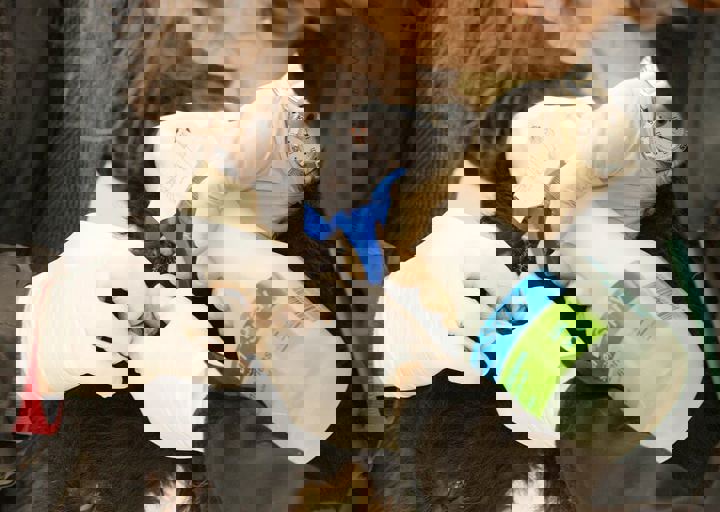 16_05150161.jpg