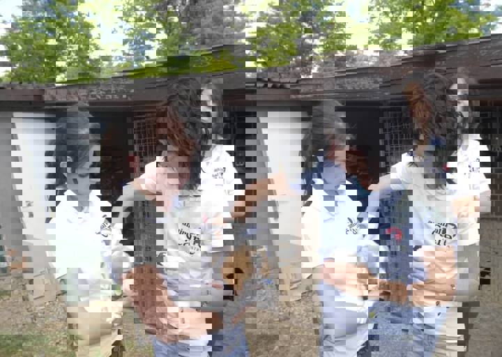 _BZS2545.JPG