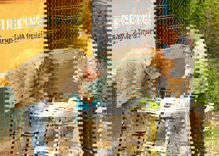 16_05150168.jpg