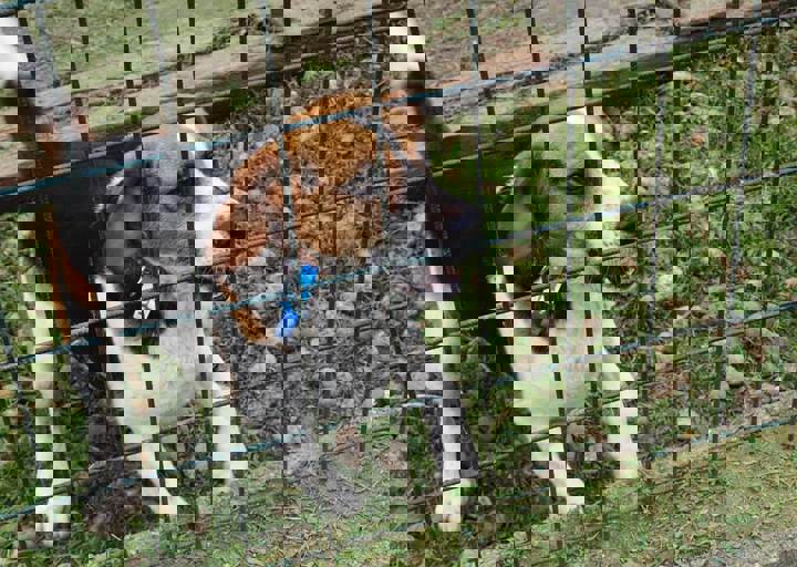 16_05150169.jpg