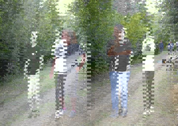 _BZS2552.JPG